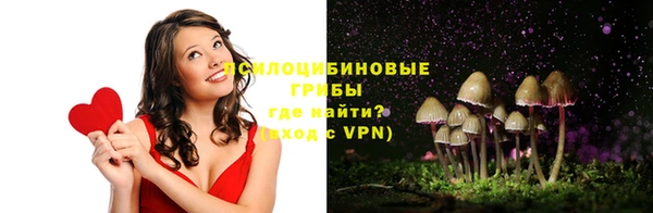 PSILOCYBIN Наволоки