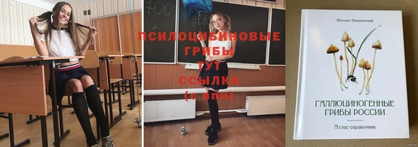 PSILOCYBIN Наволоки