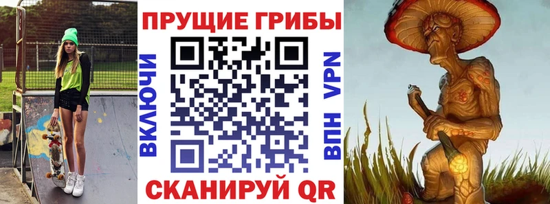 купить наркотики сайты  Артём  это формула  Галлюциногенные грибы Psilocybine cubensis 